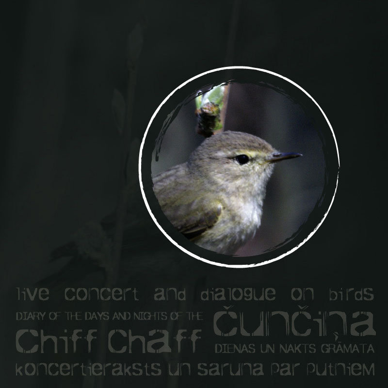 2007_Nature-Concerthall_Phylloscopus-collybita