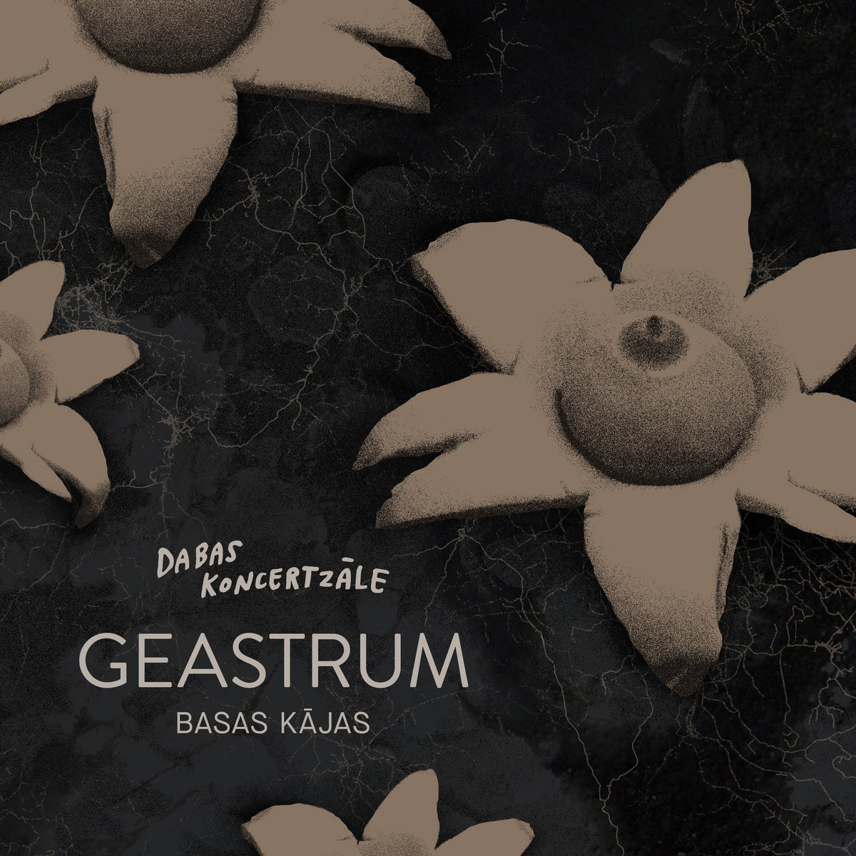 2020_Nature-Concerthall_Geastrum