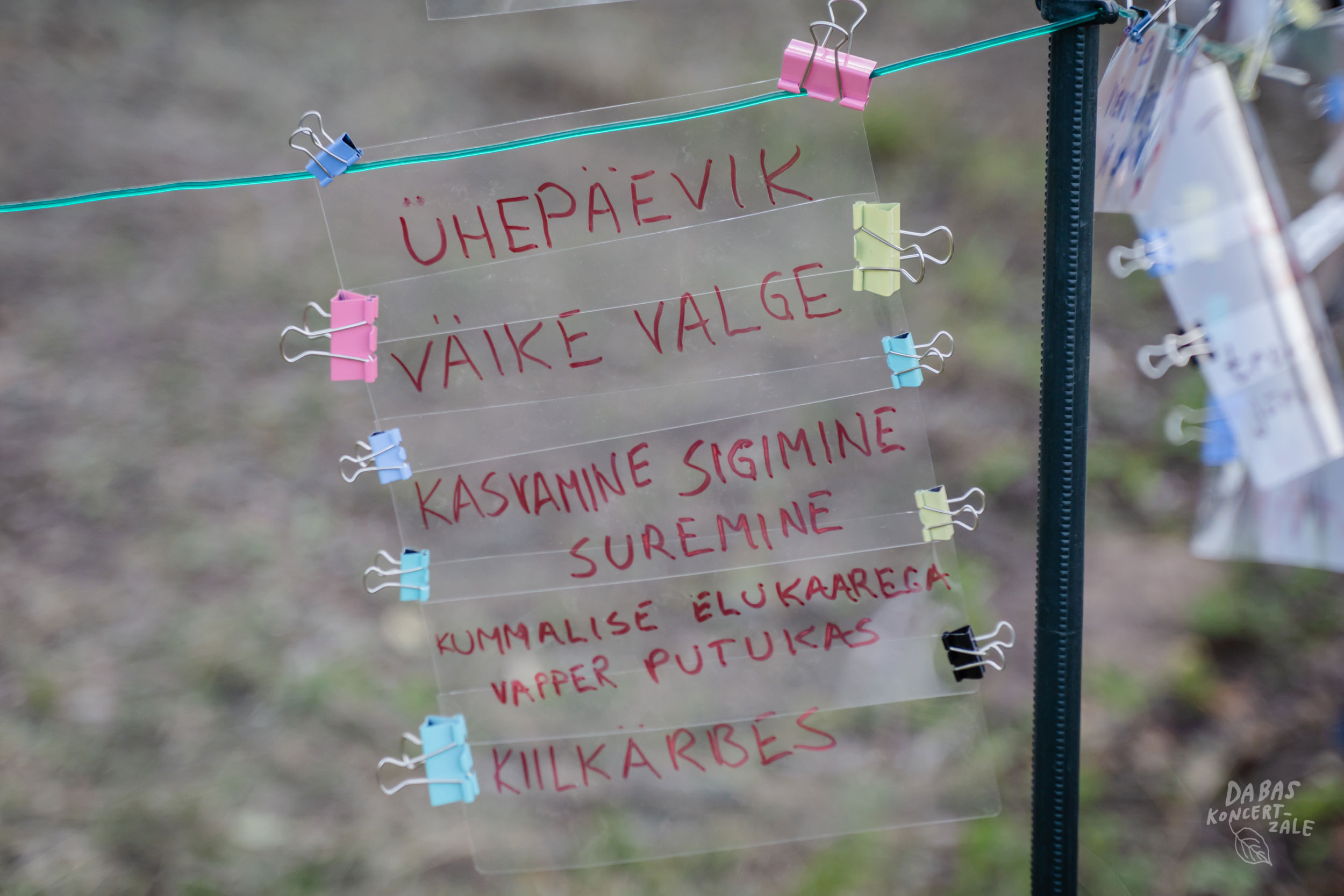 DK2019_Ephemera-vulgata_Ligatne-foto_MarikaLatsone-33