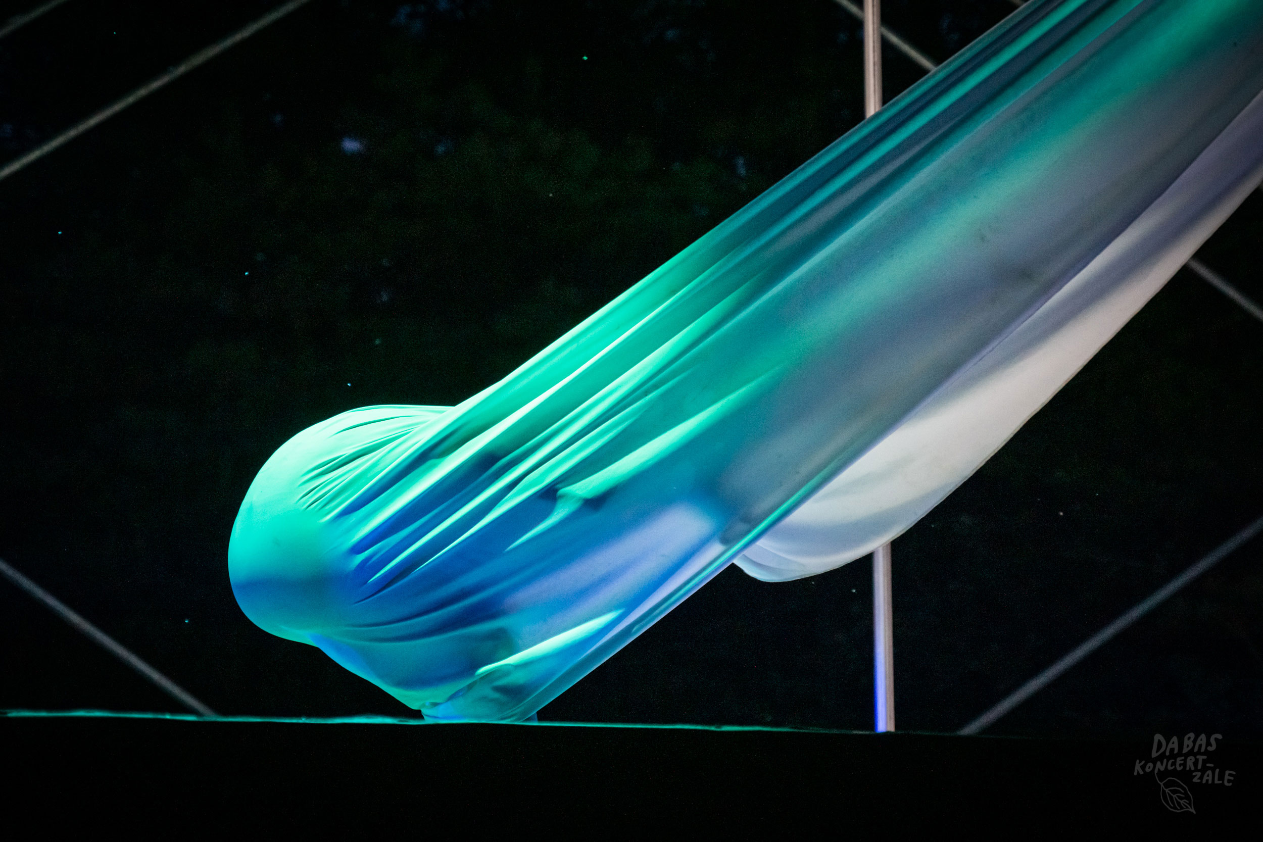 DK2019_Ephemera-vulgata_Ligatne-foto_MarikaLatsone-73